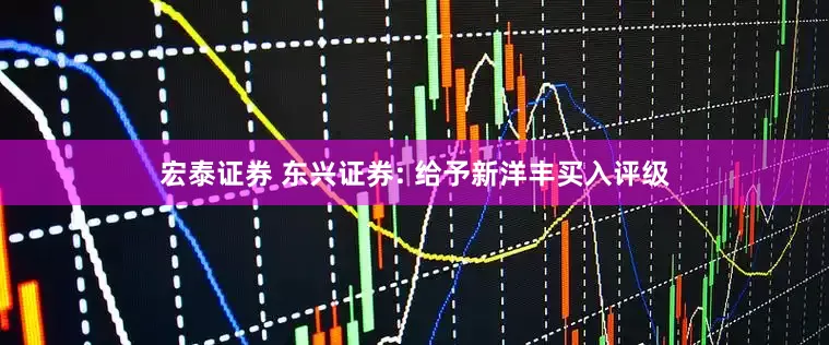 宏泰证券 东兴证券: 给予新洋丰买入评级