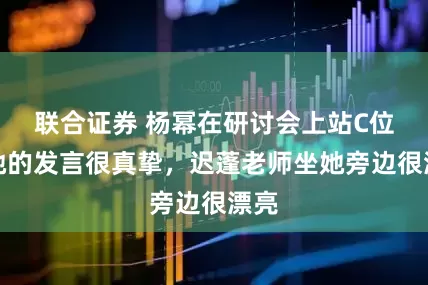 联合证券 杨幂在研讨会上站C位，她的发言很真挚，迟蓬老师坐她旁边很漂亮