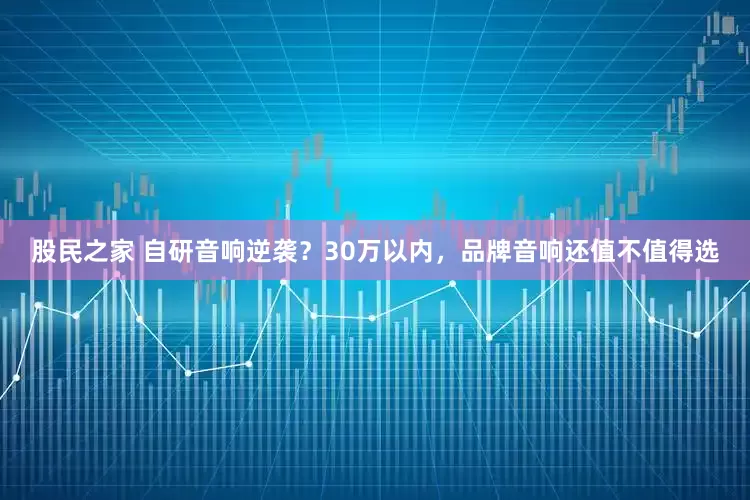 股民之家 自研音响逆袭？30万以内，品牌音响还值不值得选